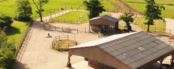 l-ecurie-active-ou-comment-oeuvrer-pour-le-bien-etre-des-chevaux