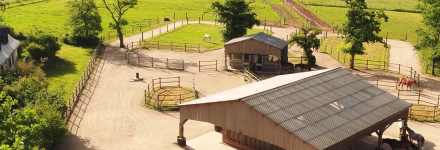 l-ecurie-active-ou-comment-oeuvrer-pour-le-bien-etre-des-chevaux